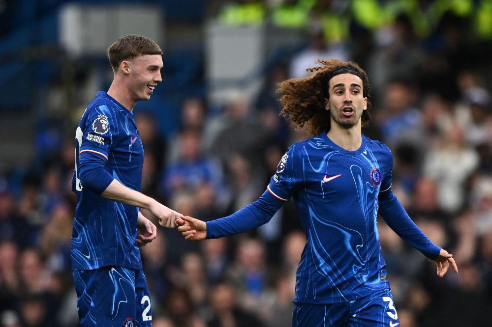 提供了强有 提供了强有